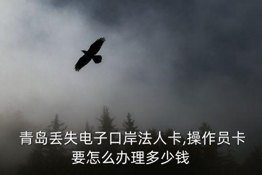  青島丟失電子口岸法人卡,操作員卡要怎么辦理多少錢