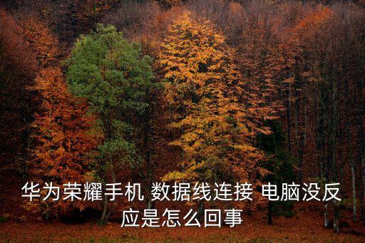 數(shù)據(jù)線插電腦充不了電腦沒反應(yīng)