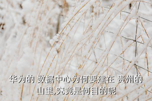 華為的 數(shù)據(jù)中心為何要建在 貴州的山里,究竟是何目的呢