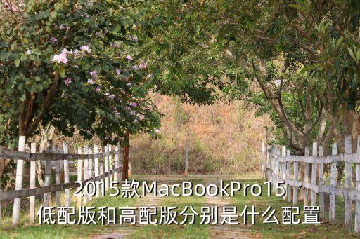 2015款MacBookPro15低配版和高配版分別是什么配置
