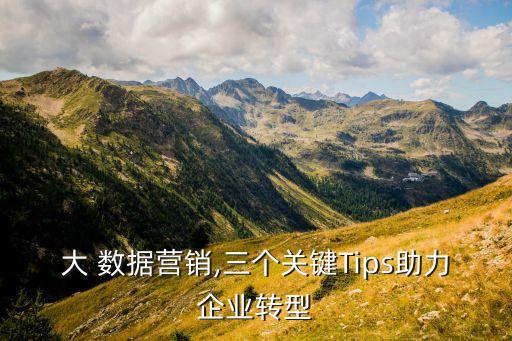 大 數(shù)據(jù)營(yíng)銷,三個(gè)關(guān)鍵Tips助力企業(yè)轉(zhuǎn)型