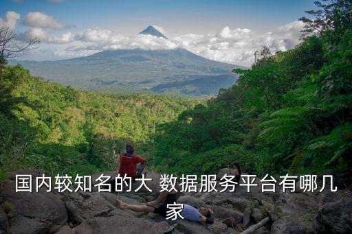 國內(nèi)較知名的大 數(shù)據(jù)服務(wù)平臺有哪幾家