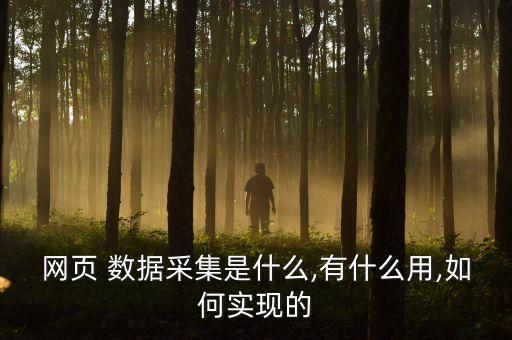 網(wǎng)頁 數(shù)據(jù)采集是什么,有什么用,如何實現(xiàn)的