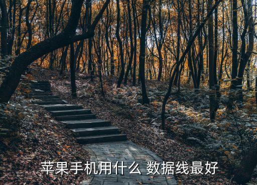 哪個(gè)蘋(píng)果數(shù)據(jù)線好,蘋(píng)果哪個(gè)輸入法最好用最快