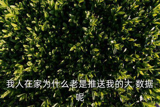 我人在家為什么老是推送我的大 數(shù)據(jù)呢