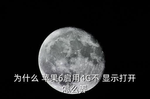 為什么 蘋果6啟用4G不 顯示打開怎么弄