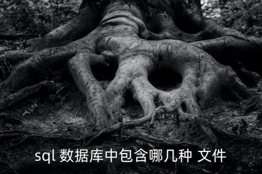 sql 數(shù)據(jù)庫中包含哪幾種 文件