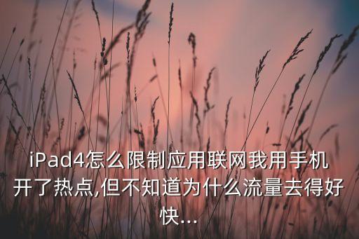 ipad4數(shù)據(jù)上網(wǎng),iPad4可以上網(wǎng)課嗎