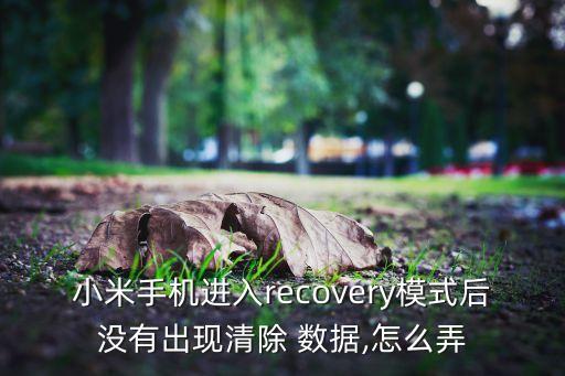 小米手機進入recovery模式后沒有出現清除 數據,怎么弄