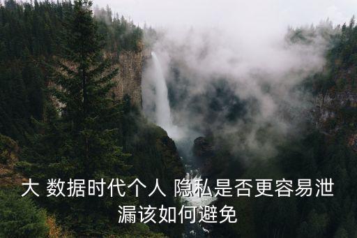 大 數(shù)據(jù)時代個人 隱私是否更容易泄漏該如何避免