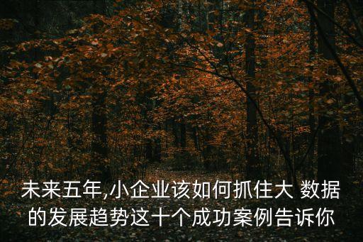 未來(lái)五年,小企業(yè)該如何抓住大 數(shù)據(jù)的發(fā)展趨勢(shì)這十個(gè)成功案例告訴你