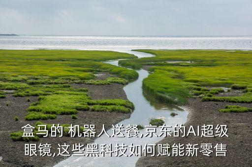 盒馬的 機器人送餐,京東的AI超級眼鏡,這些黑科技如何賦能新零售