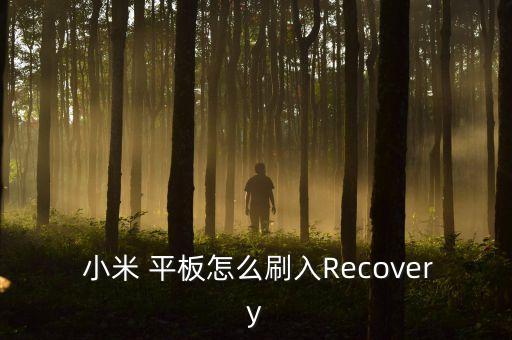 小米平板1清除所有數(shù)據(jù)