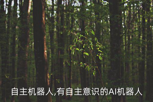 智能自主機(jī)器人,有自主意識(shí)的AI機(jī)器人