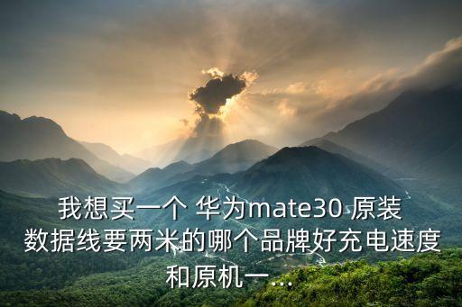我想買一個(gè) 華為mate30 原裝 數(shù)據(jù)線要兩米的哪個(gè)品牌好充電速度和原機(jī)一...