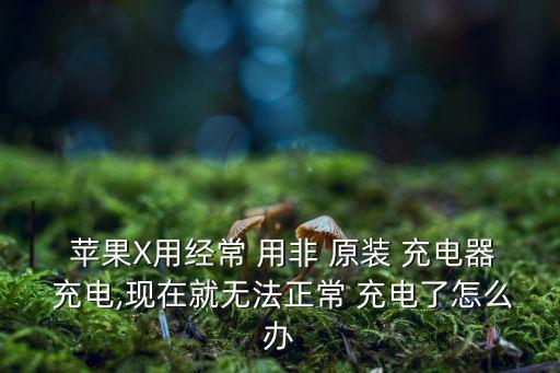  蘋(píng)果X用經(jīng)常 用非 原裝 充電器 充電,現(xiàn)在就無(wú)法正常 充電了怎么辦