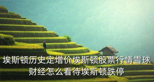 埃斯頓歷史定增價埃斯頓股票行情雪球財經怎么看待埃斯頓跌停