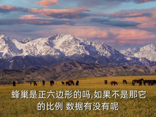  蜂巢是正六邊形的嗎,如果不是那它的比例 數(shù)據(jù)有沒有呢