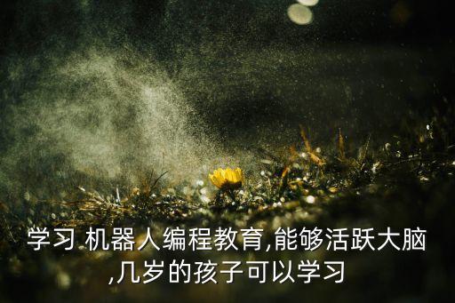 學(xué)習(xí) 機(jī)器人編程教育,能夠活躍大腦,幾歲的孩子可以學(xué)習(xí)
