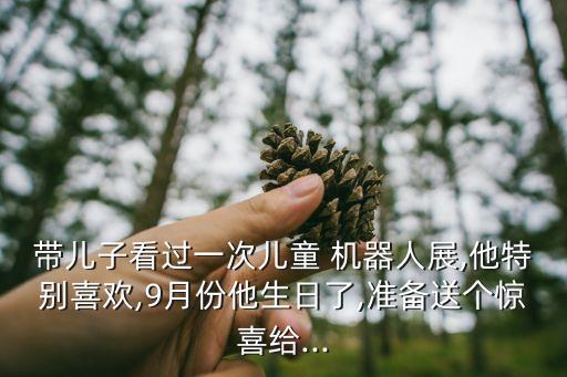 帶兒子看過一次兒童 機器人展,他特別喜歡,9月份他生日了,準(zhǔn)備送個驚喜給...