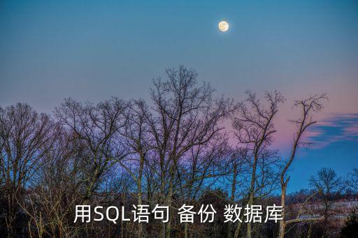 sql備份數(shù)據(jù)庫在哪,簡述SQL數(shù)據(jù)庫的備份與還原操作