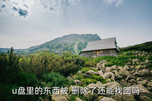 u盤的表格刪除怎么恢復(fù)數(shù)據(jù)恢復(fù),表格里面刪除了怎么恢復(fù)