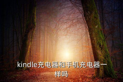  kindle充電器和手機(jī)充電器一樣嗎