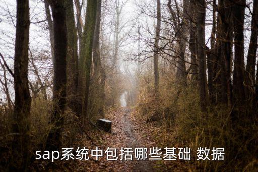 sap系統(tǒng)中包括哪些基礎(chǔ) 數(shù)據(jù)