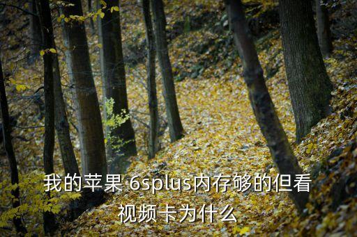 我的蘋果 6splus內(nèi)存夠的但看視頻卡為什么