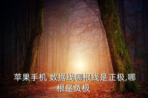 蘋果數(shù)據(jù)線內(nèi)部電路圖,蘋果原裝數(shù)據(jù)線內(nèi)部結(jié)構(gòu)圖