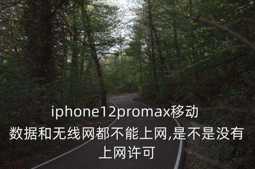 iphone12promax移動(dòng) 數(shù)據(jù)和無(wú)線網(wǎng)都不能上網(wǎng),是不是沒(méi)有上網(wǎng)許可
