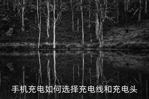 手機(jī)充電如何選擇充電線和充電頭