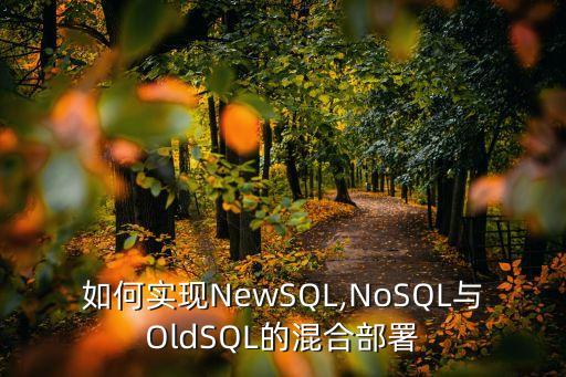 如何實(shí)現(xiàn)NewSQL,NoSQL與OldSQL的混合部署