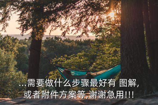 ...需要做什么步驟最好有 圖解,或者附件方案等,謝謝急用!!!