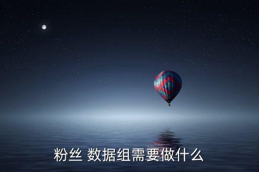 粉絲 數(shù)據(jù)組需要做什么
