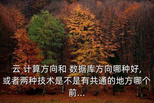 云 計(jì)算方向和 數(shù)據(jù)庫(kù)方向哪種好,或者兩種技術(shù)是不是有共通的地方哪個(gè)前...