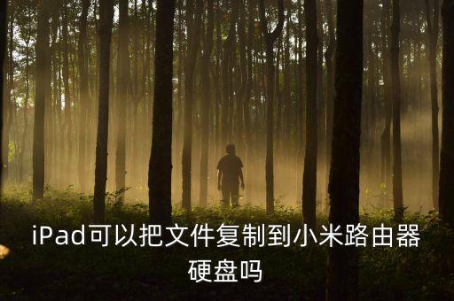 iPad可以把文件復(fù)制到小米路由器硬盤嗎