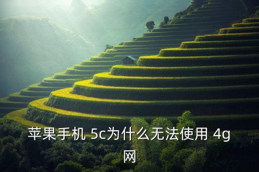 5c港版升4g后怎么沒有數據