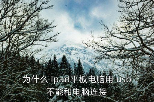 為什么 ipad平板電腦用 usb不能和電腦連接