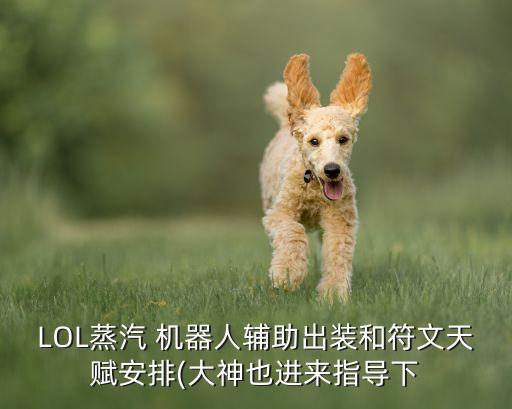 機(jī)器人 工資裝,英雄聯(lián)盟機(jī)器人工資裝
