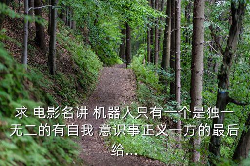 求 電影名講 機(jī)器人只有一個(gè)是獨(dú)一無(wú)二的有自我 意識(shí)事正義一方的最后給...