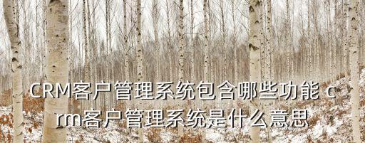 CRM客戶管理系統(tǒng)包含哪些功能 crm客戶管理系統(tǒng)是什么意思