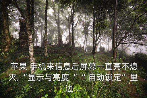 蘋果手機(jī)不自動息屏,蘋果不自動熄滅屏幕