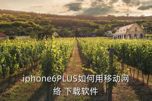 iphone6PLUS如何用移動網(wǎng)絡(luò) 下載軟件