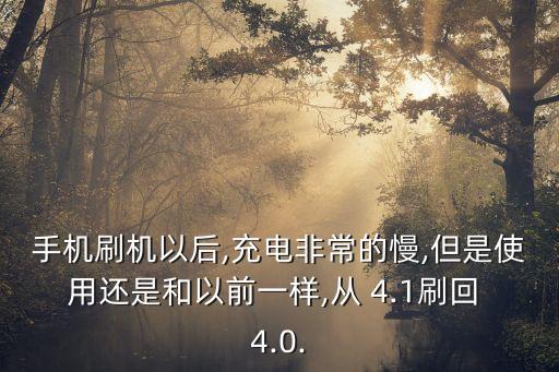 4.0數(shù)據(jù)線與4.1那個好