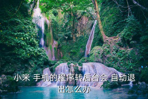  小米 手機(jī)的程序轉(zhuǎn)后臺(tái)會(huì) 自動(dòng)退出怎么辦