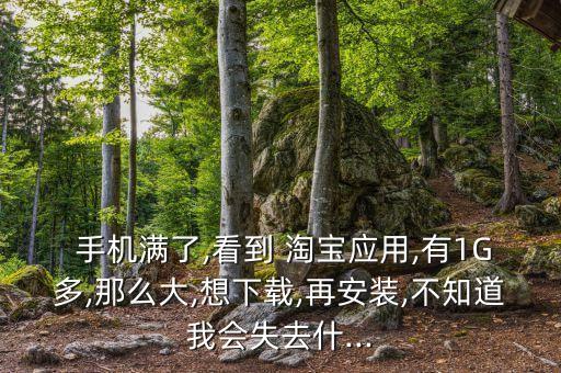  手機(jī)滿了,看到 淘寶應(yīng)用,有1G多,那么大,想下載,再安裝,不知道我會(huì)失去什...
