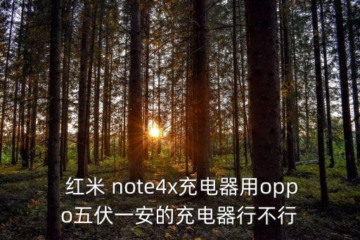  紅米 note4x充電器用oppo五伏一安的充電器行不行