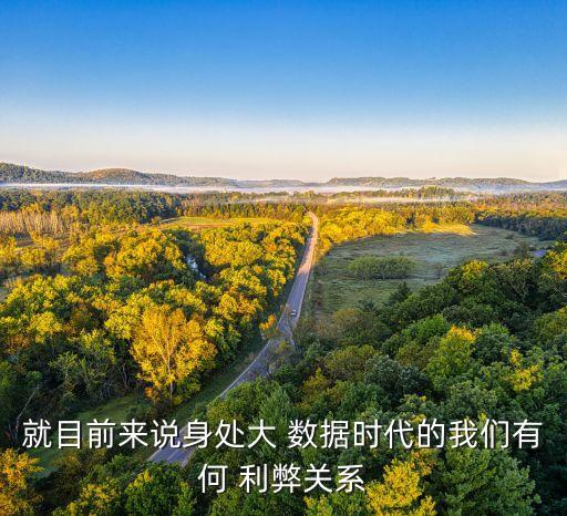 就目前來說身處大 數(shù)據(jù)時(shí)代的我們有何 利弊關(guān)系