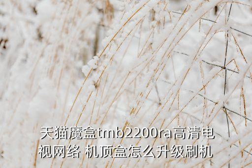 天貓機(jī)頂盒自動更新,高清電視網(wǎng)機(jī)頂盒刷機(jī)方法:先解壓后解封